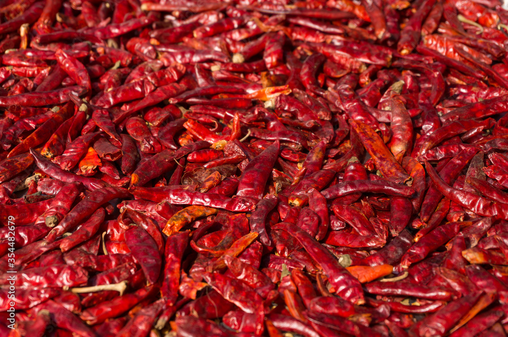 Fototapeta premium Hot red chilli peppers sun-drying. Full frame spicy food background