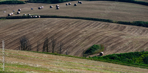 Campo arato photo