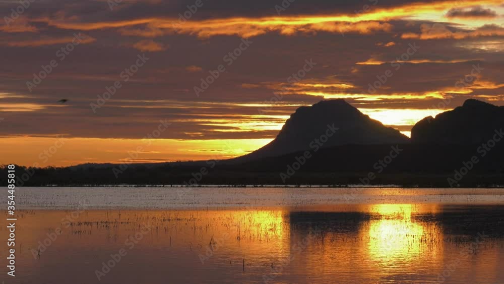 Bird flying over marsh, panoramic sunrise view. Bird flying over marsh, panoramic sunrise view.