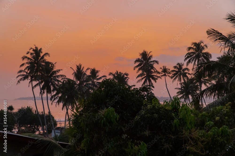 Gorgeous sunset view of ocean and palm trees in tropical island of Sri Lanka 