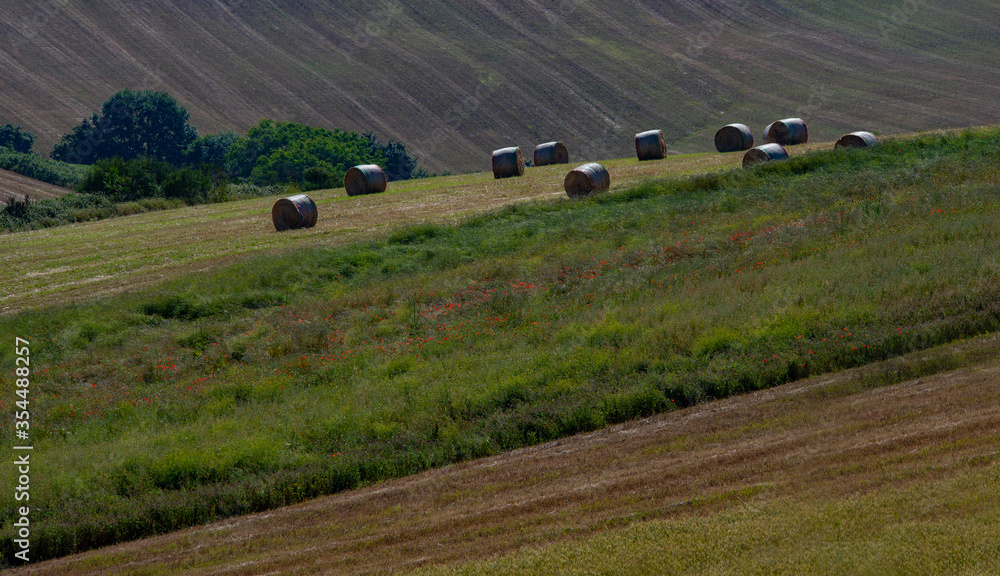 Obraz premium Vista bucolica