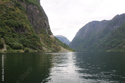 Norwegian Fjord © Ali