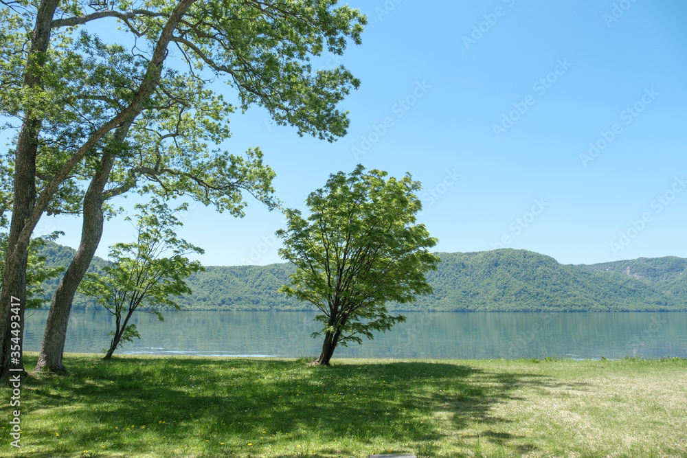 晴れた日の十和田湖の樹木