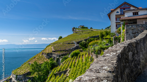 Vue sur les vignobles du Lavaux depuis le village de Rivaz photo