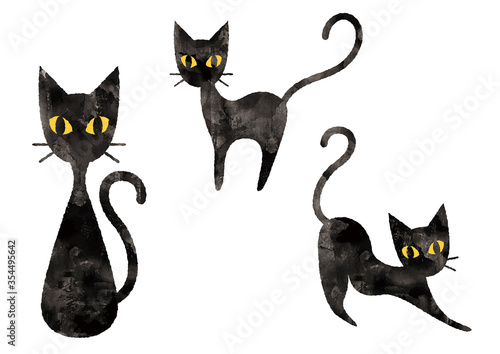 黒猫