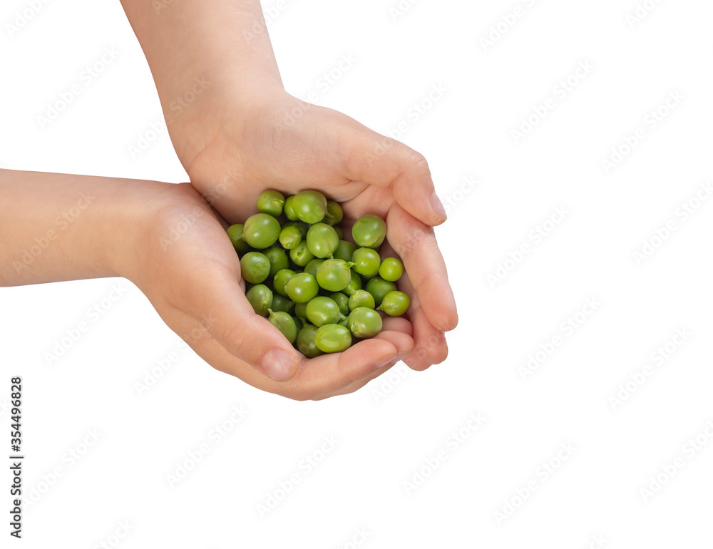 This is green peas in children's hands.
This is green peas in children's hands.
