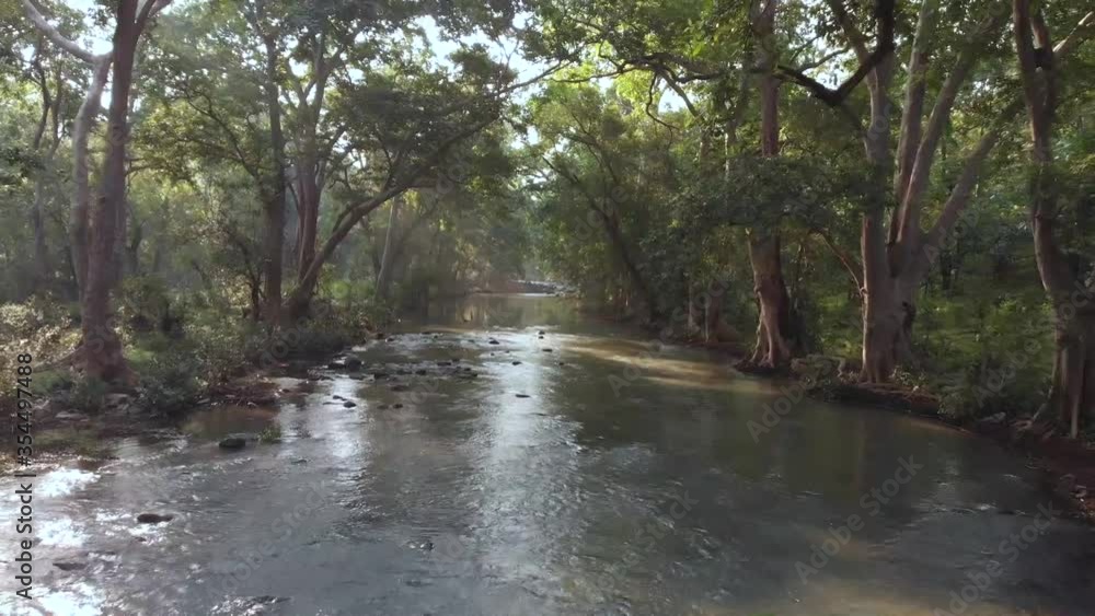 Aerial drone view of forest stream, Madhya Pradesh, India