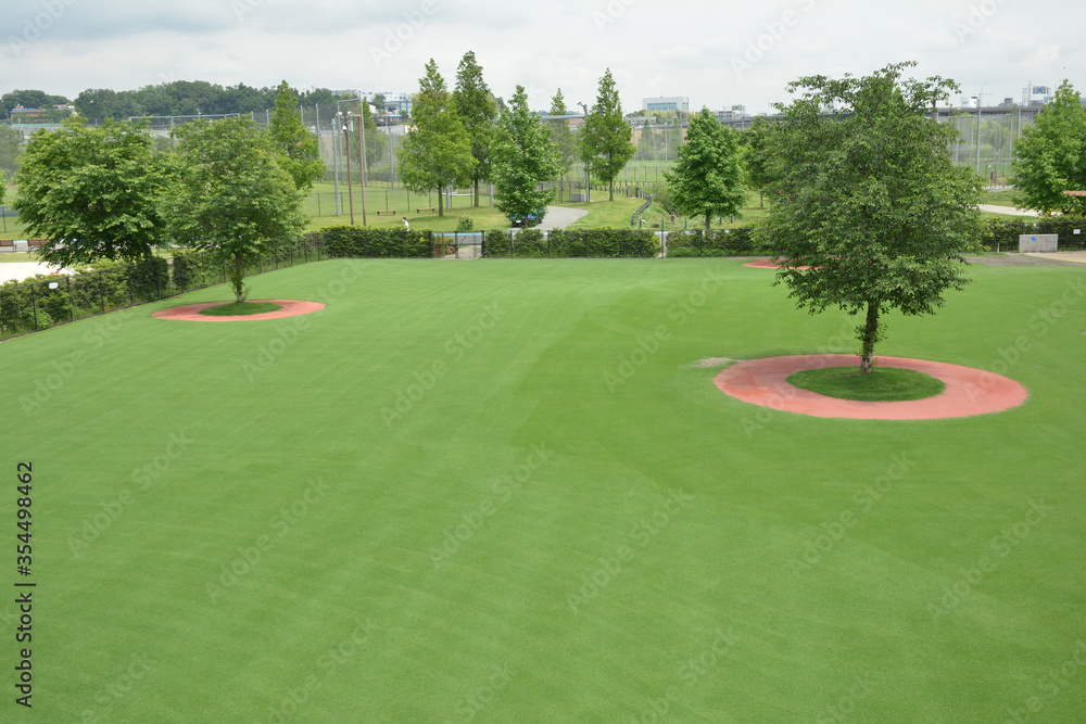 Obraz premium 人工芝