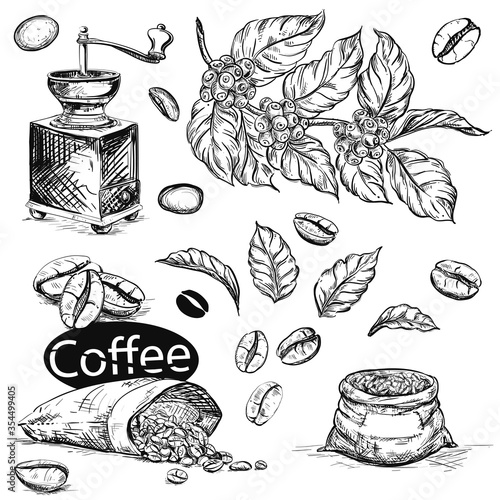 Hand drawn sketch black and white coffee set. Vector illustration of coffee beans, leaf, branch, mill, bags. Elements in graphic style menu.