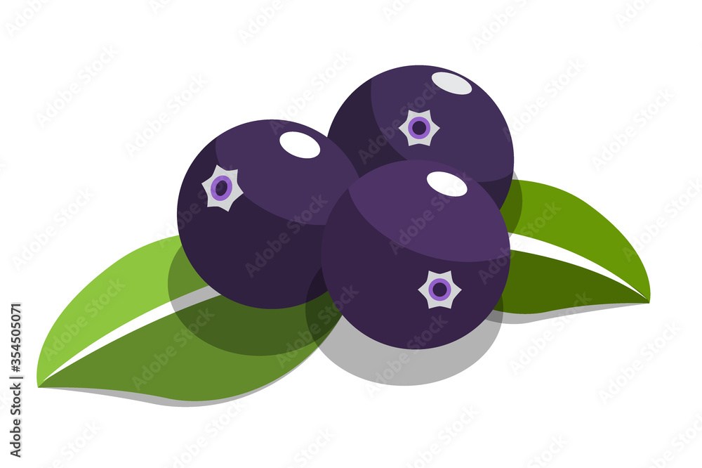 purple acai berry flat vector on white background purple acai berry flat vector on white background