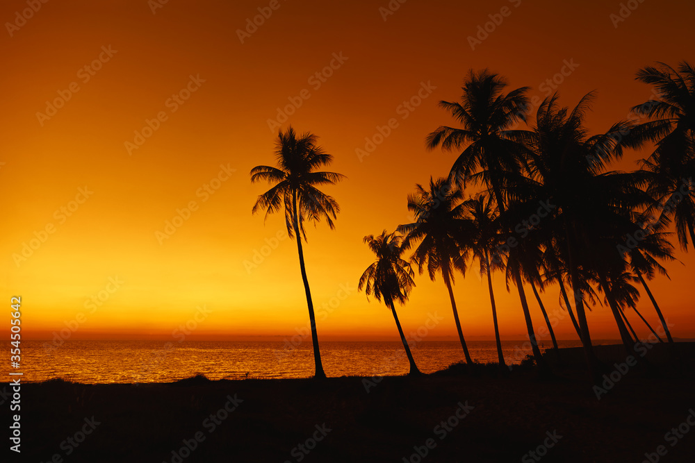silhouettes of palm trees at sunset