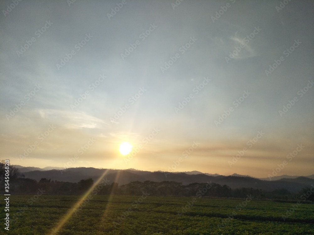 Fototapeta premium sunset over the field