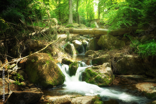 Romantisches Ilsetal im Harz. Grüne Oase im Wald mit Wasserfall