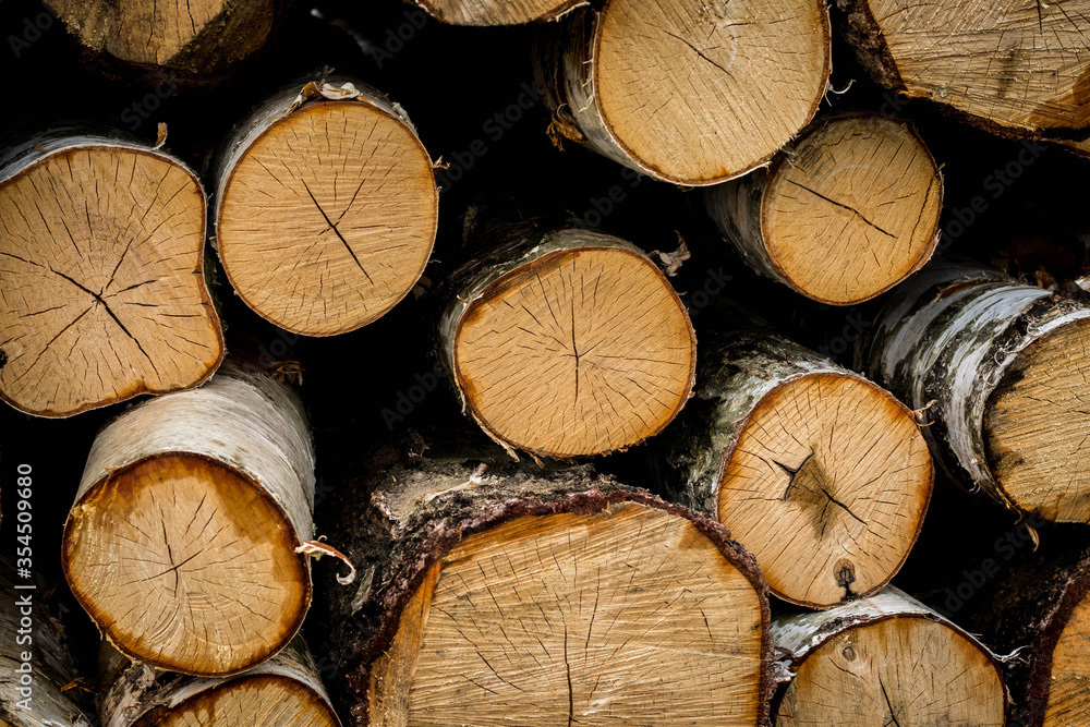 Fototapeta premium Ułożone belki, pnie ściętych drzew widoczne słoje 2