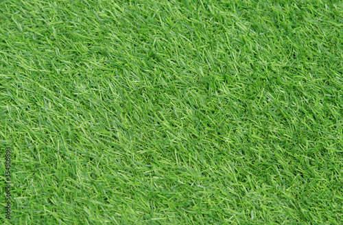 Textured backgrounds of green grass on the ground for decoration in the garden. Copy space for text and ideas used for making backdrop.