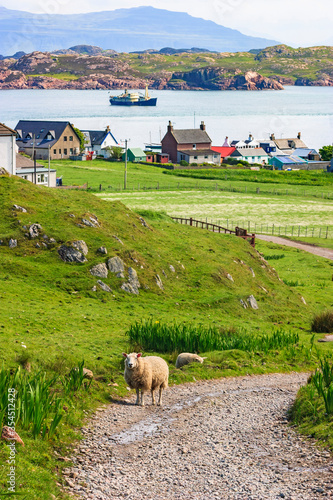 Obraz na plátně View of Iona an island in Scotland