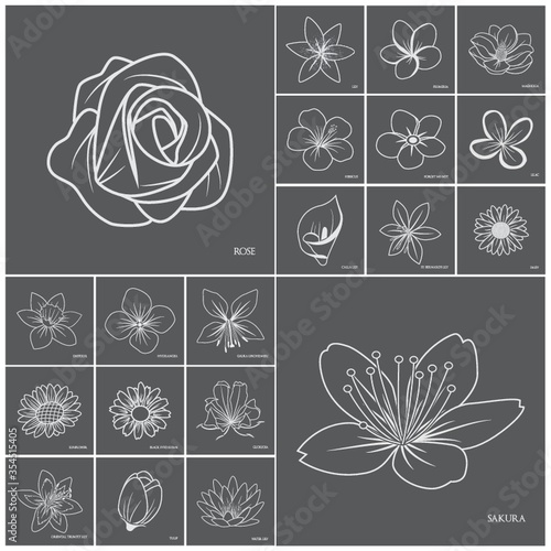Collection of flower icons