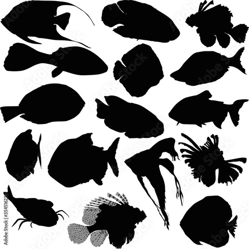 sixteen fishes collection isolated on white