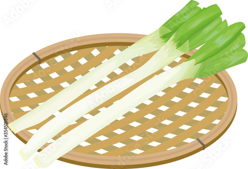  長ネギ　かご盛り　イラスト