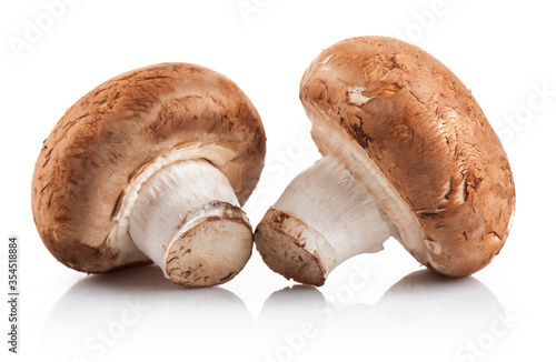 Two fresh mushroom champignon. Isolated on white background. Stock photo.
