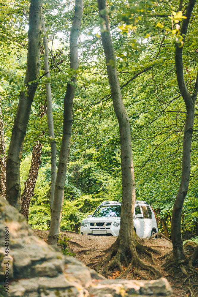 white suv car in summer forest