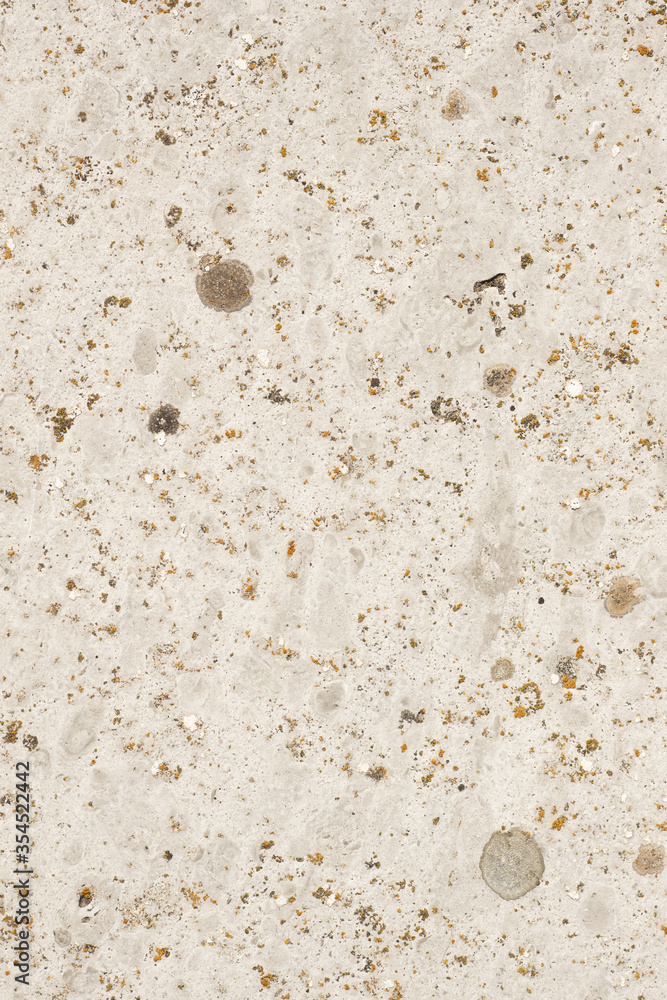 Abstract of old asbestos slate texture of concrete stone wall covered with lichen and moss. Industry material natural concept. Abstract of old asbestos slate texture of concrete stone wall covered with lichen and moss. Industry material natural concept.