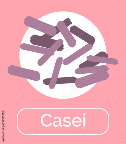 Casei bacteria for healthy digestion and good microflora. Bacterium with beneficiary effect. Probiotics helping immune system, immunity booster. Microorganisms with text, vector in flat style