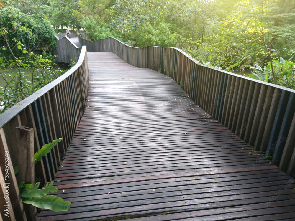 Pathway with bridge in the park