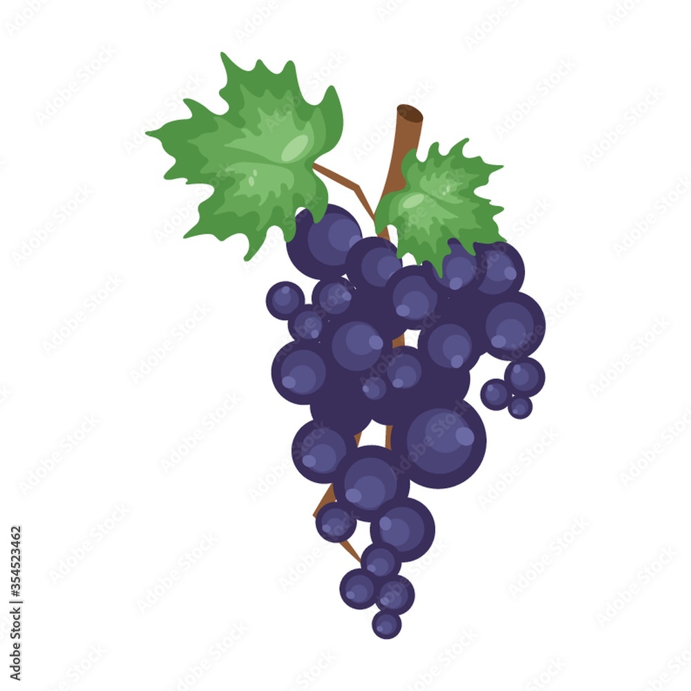 Fototapeta premium Grapes