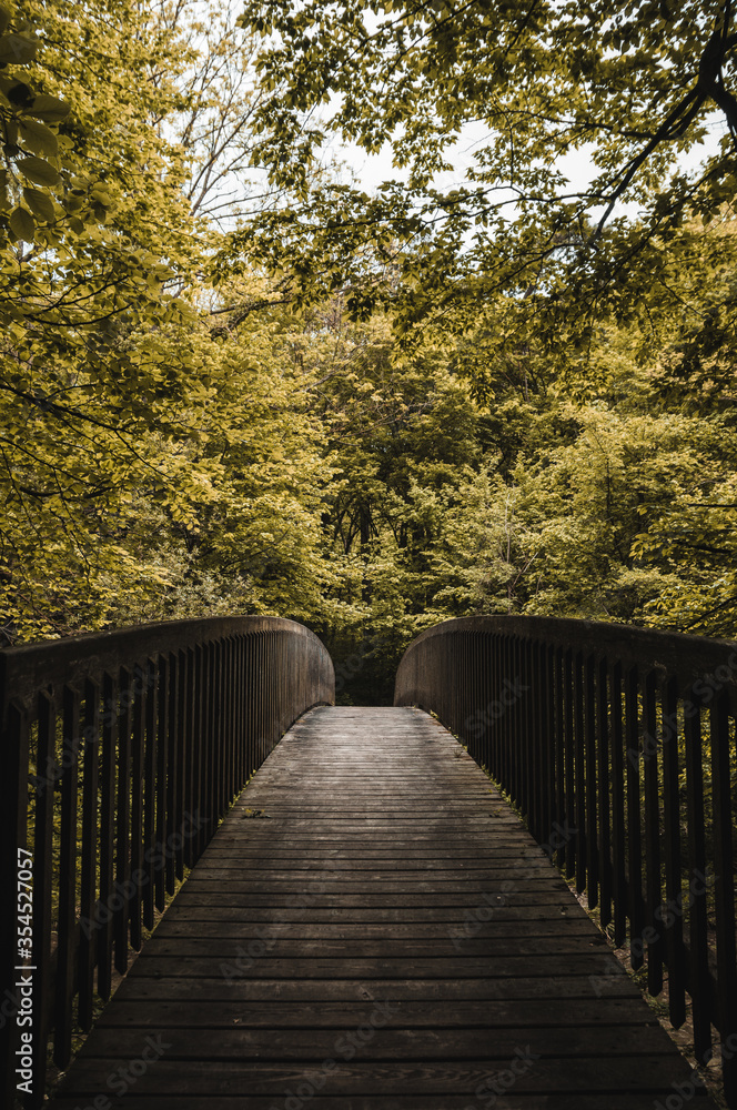 Fototapeta premium Bridge