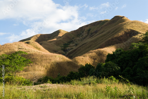 Colline dans la vall  e de la Sambirano - Madagascar.