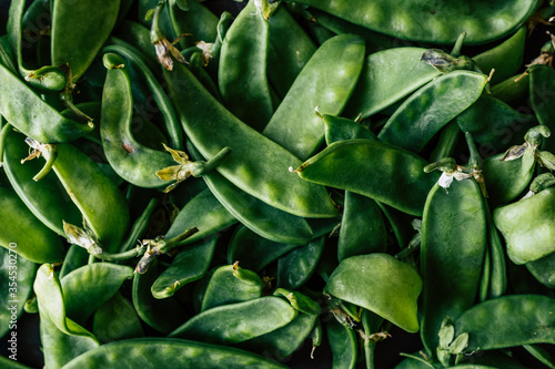 Haricots verts plats fraichement cueillis au jardin