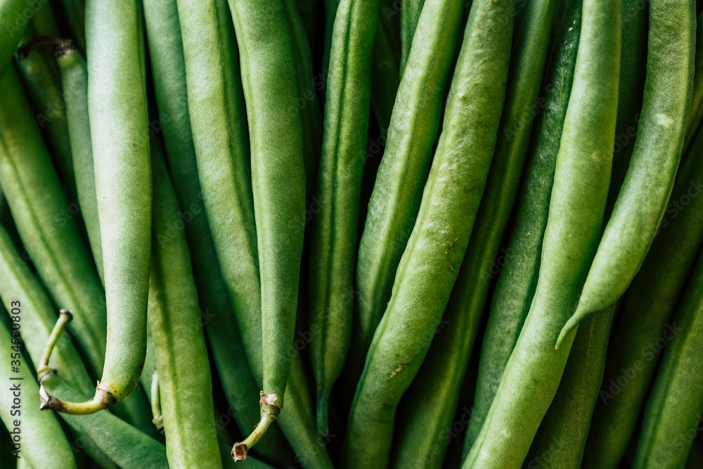 Haricots verts fraîchement cueillis au jardin Haricots verts fraîchement cueillis au jardin