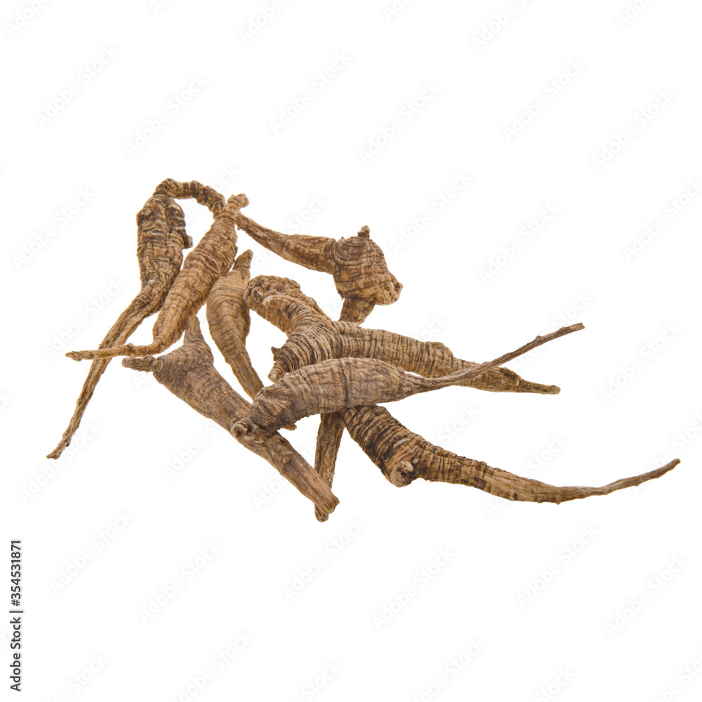 Ginseng or Dried Ginseng on a background new. Ginseng or Dried Ginseng on a background new.