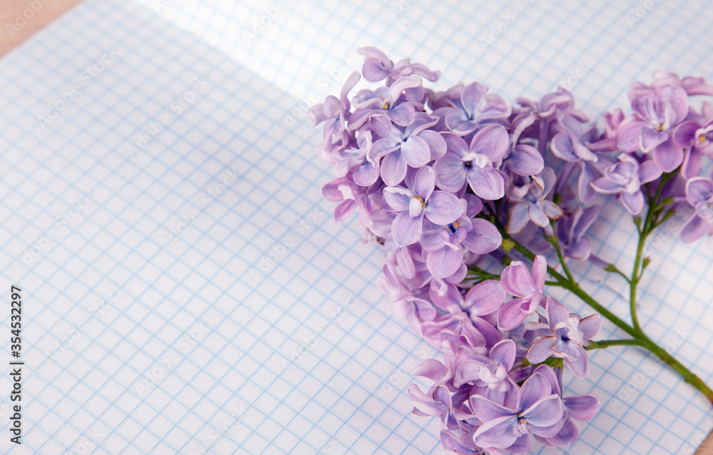 Lilac flowers on a squared exercise-book