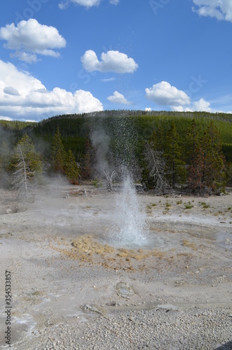 Late Spring in Yellowstone National Park: Erupting Vixen Geyser Sends Spray into the Sky in the Back Basin Area of Norris Geyser Basin