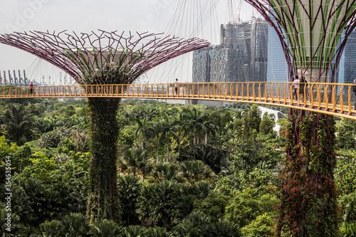 Botanical garden, Gardens by the Bay in Singapore. © Natalia
