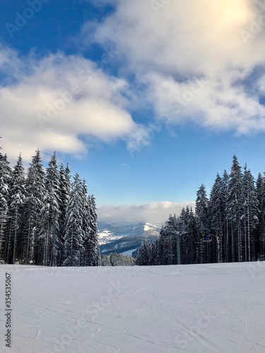 winter landscape with snow covered trees