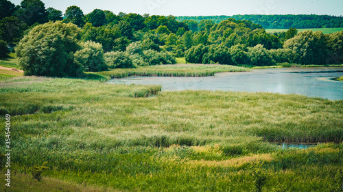 landscape of a small river flowing between the trees photo