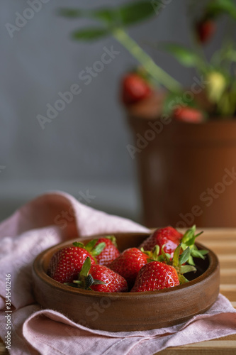 Fresh strawberries in a clay plate. Potted house growing concept. Mini organic garden. Actually grown berry at home.
