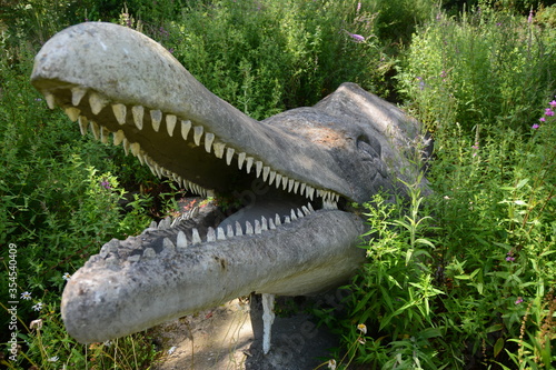 Ichthyosaurus photo
