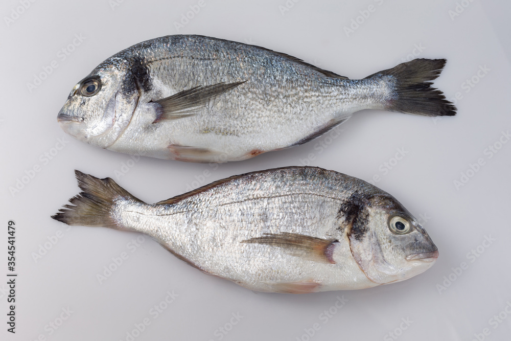 Freshly caught uncooked dorado flat lay Freshly caught uncooked dorado flat lay