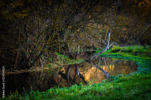 landscape of a small river flowing between the trees photo