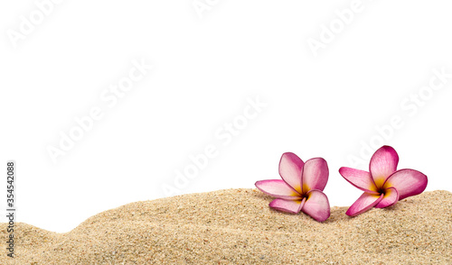 Pink yellow plumeria flowers on sand dune background