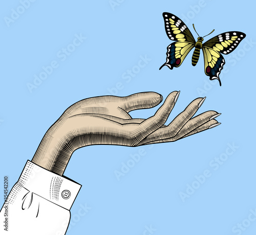 Seamless pattern background with color engraved drawing of female hand with a butterfly.
