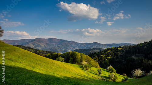 Germany, Smooth and relaxing moving clouds over valley at black forest nature landscape in the afternoon with flock of sheep