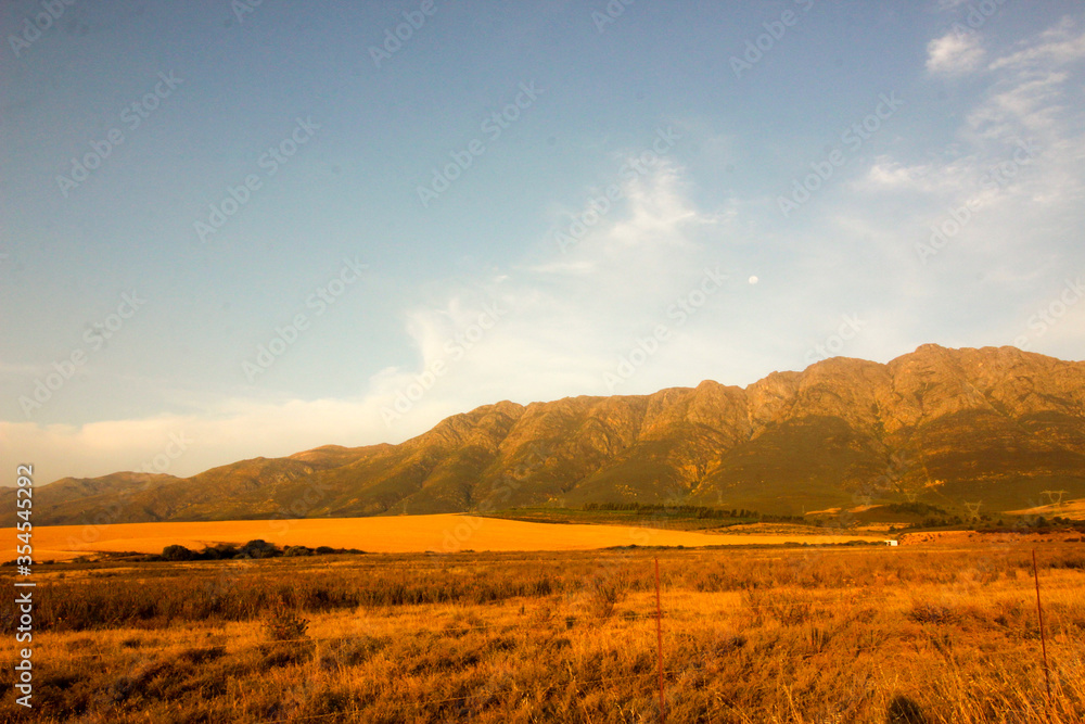 field of corn / wheat with mountains field of corn / wheat with mountains