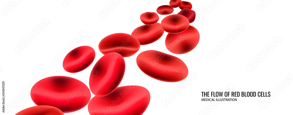 The flow of red blood cells. Medical illustration. The flow of red blood cells. Medical illustration.