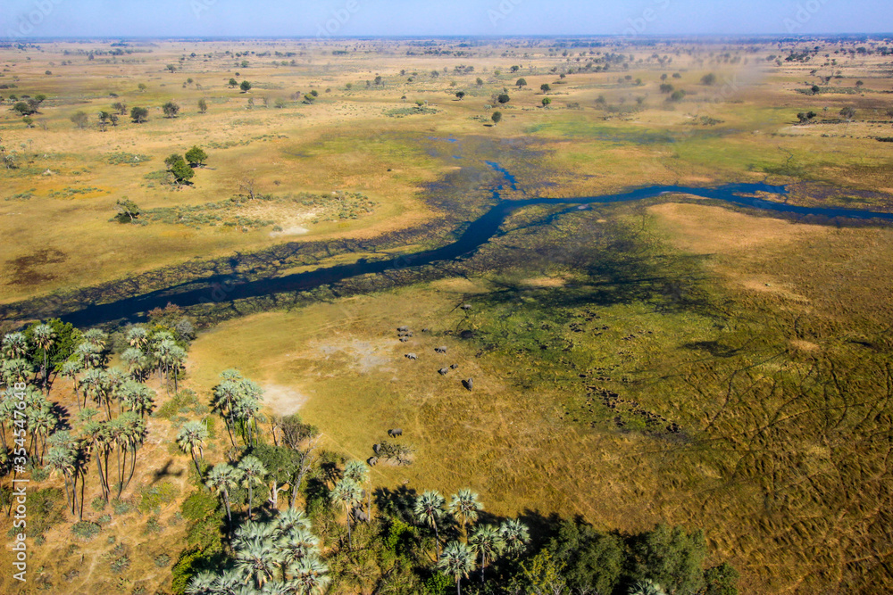 Aerial view of delta river in Africa