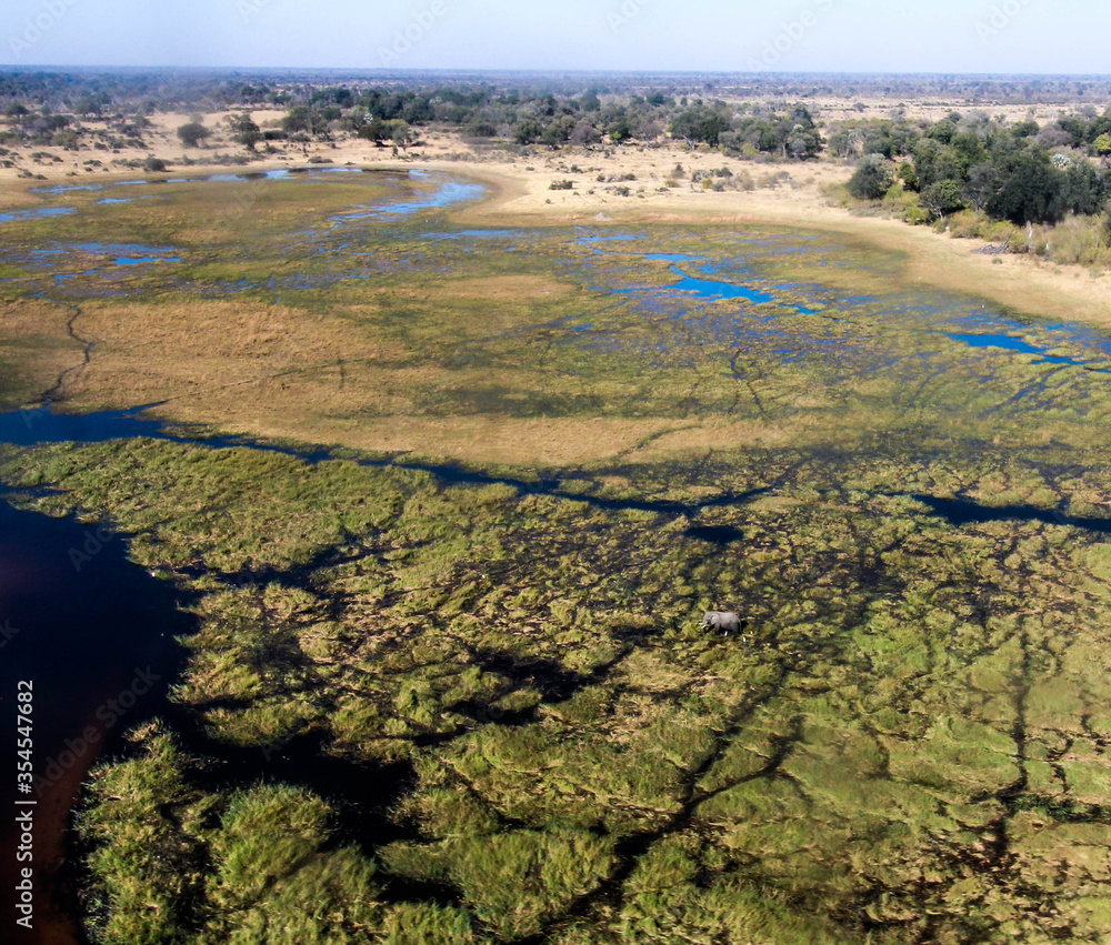 Aerial image of delta and elephant